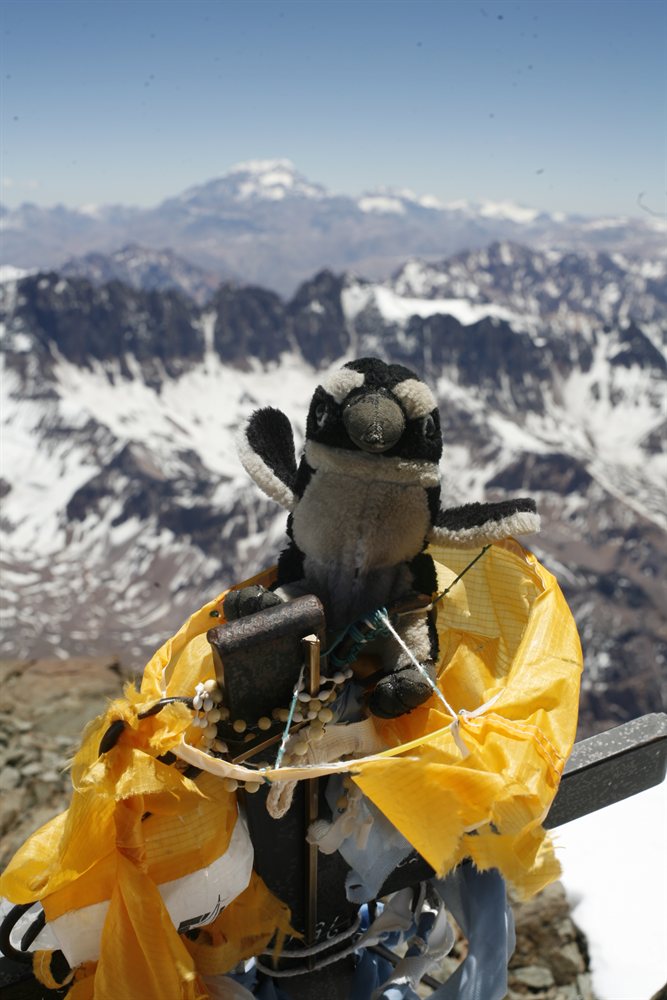 Yo en la cumbre del Cerro el Plata en Mendoza Argentina, casi 6000 mys de altura ... y no estoy ni cansado !!