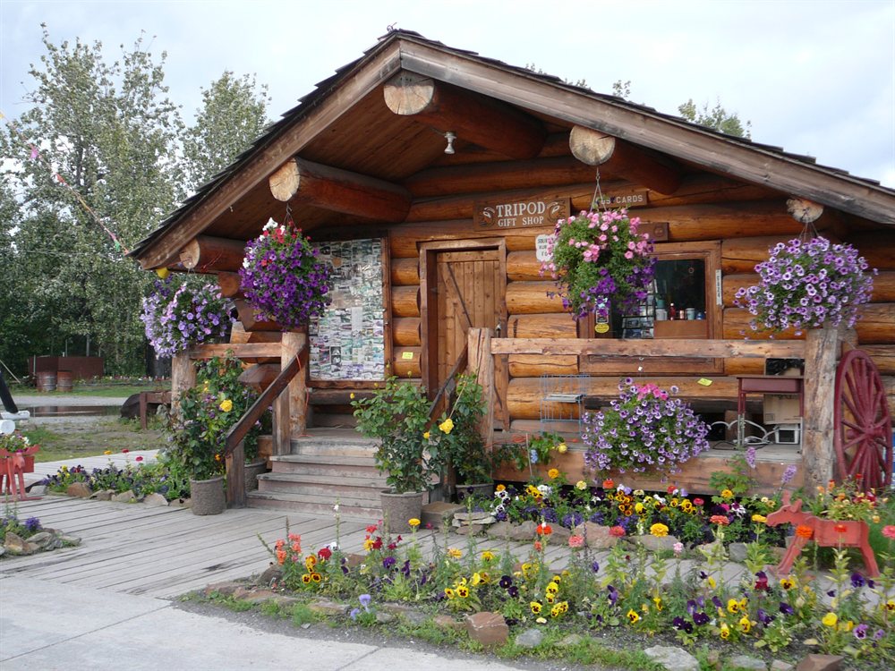 Cabanas en Nenana