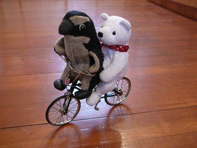 Pablito y nanuk en bicicleta, Pablitio es todo un experto a estas alturas