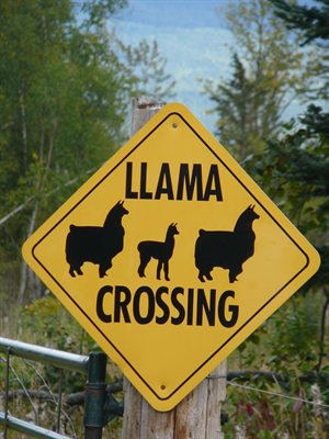 Cruce de llamas por aqui !!