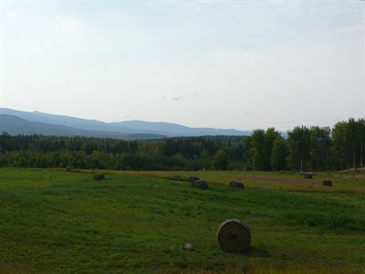 British Columbia, se han acabado los bosques y hay muchos campos con ganado en la ruta