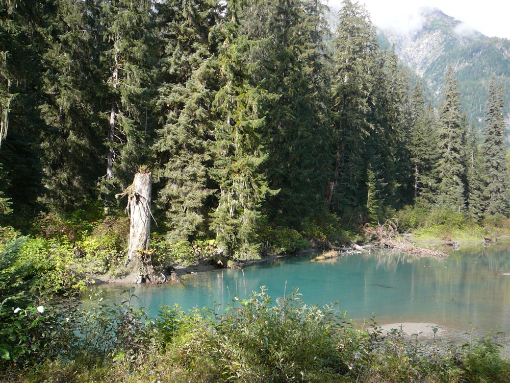 Lago donde vienen los osos a pescar salmon, los estuvimos esperando 2 dias y nada...