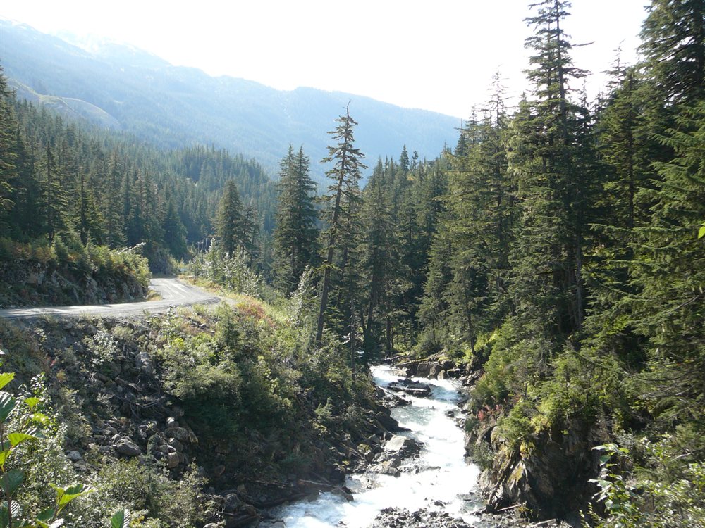 Cassiar Highway camino a Stewart
