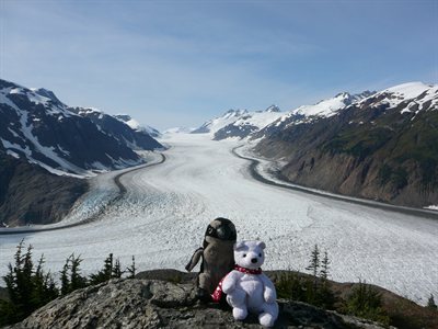 Pablito y Nanuk en Salmon Glaciar , Hyder