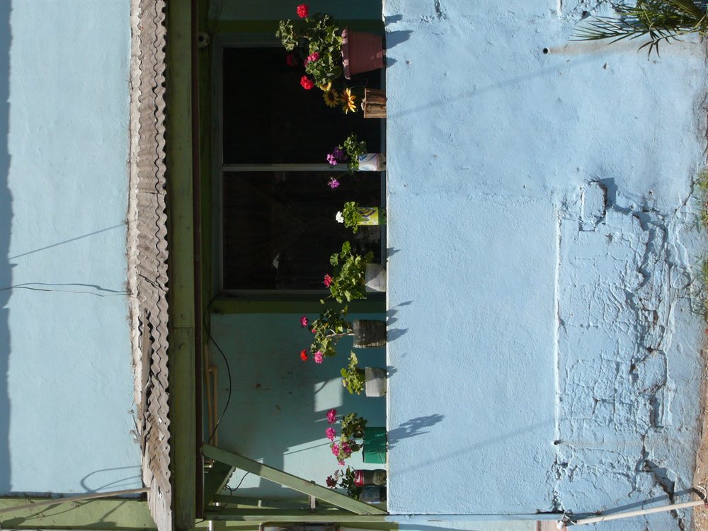 Colores