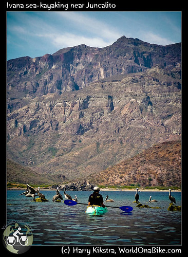 D5938aa541